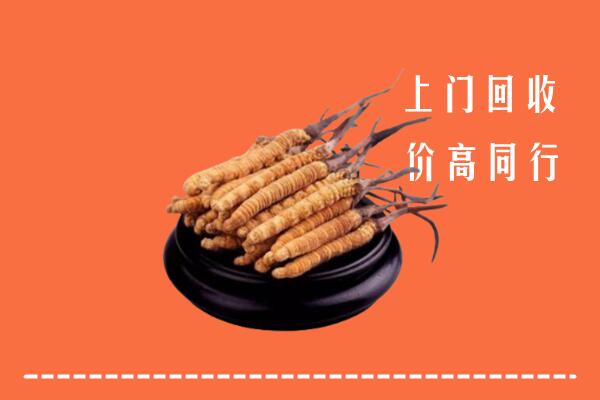 高价求购：衡水冀州回收散虫草