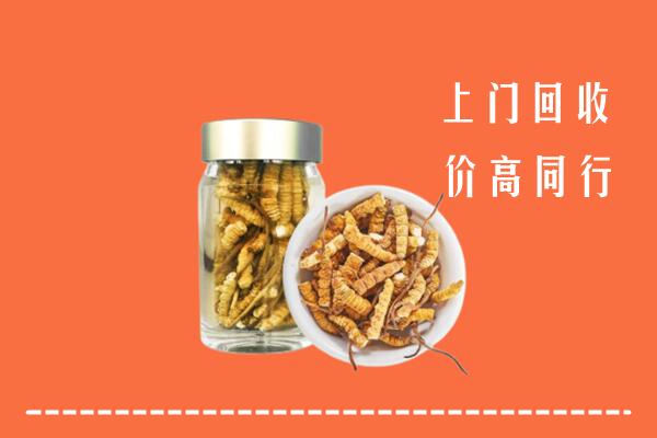 衡水冀州回收冬虫夏草